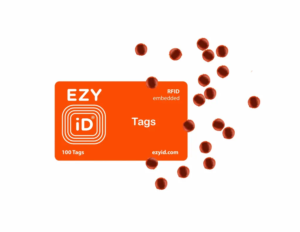 EZYiD Asset Management